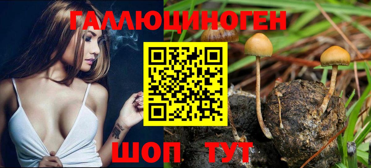 Псилоцибиновые грибы MAGIC MUSHROOMS Новосибирск